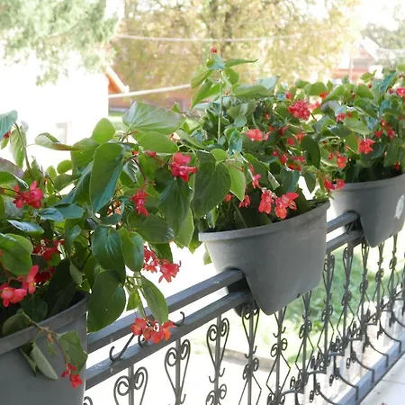 דירה Szabo Porta Vendeghaz