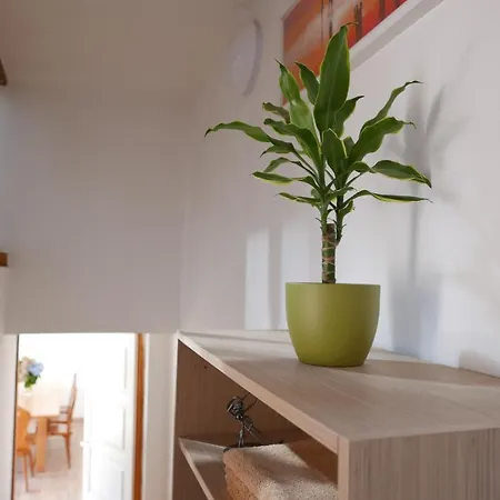 Szabo Porta Vendeghaz Zalahashagy